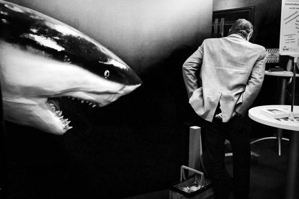 Ein Mann steht vor einem Hai-Ausstellungsstück.