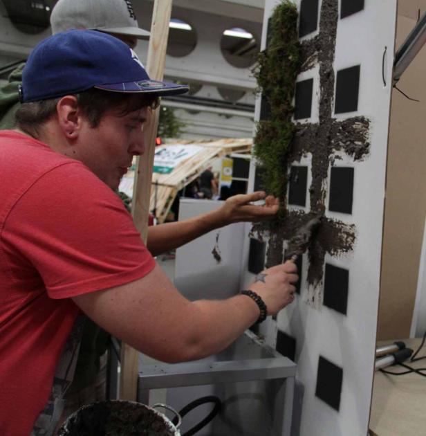 Ein Mann befestigt mit einer Spachtel Moos an einer Wand mit schwarzen Quadraten.