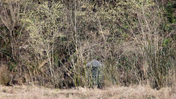 Ein Tarnzelt steht am Rande eines Waldes.