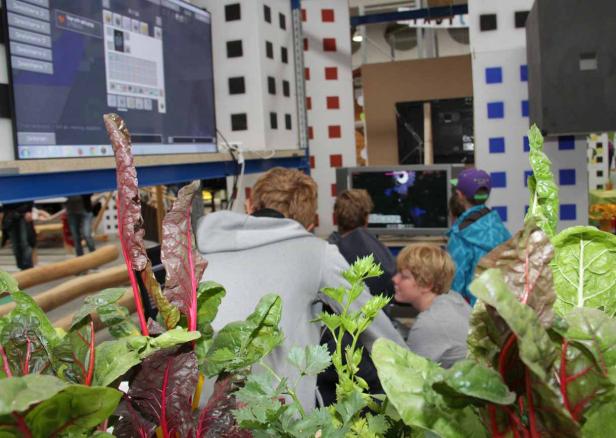 Eine Gruppe von Kindern spielt Videospiele vor einer Dekoration aus Gemüse und Pflanzen.