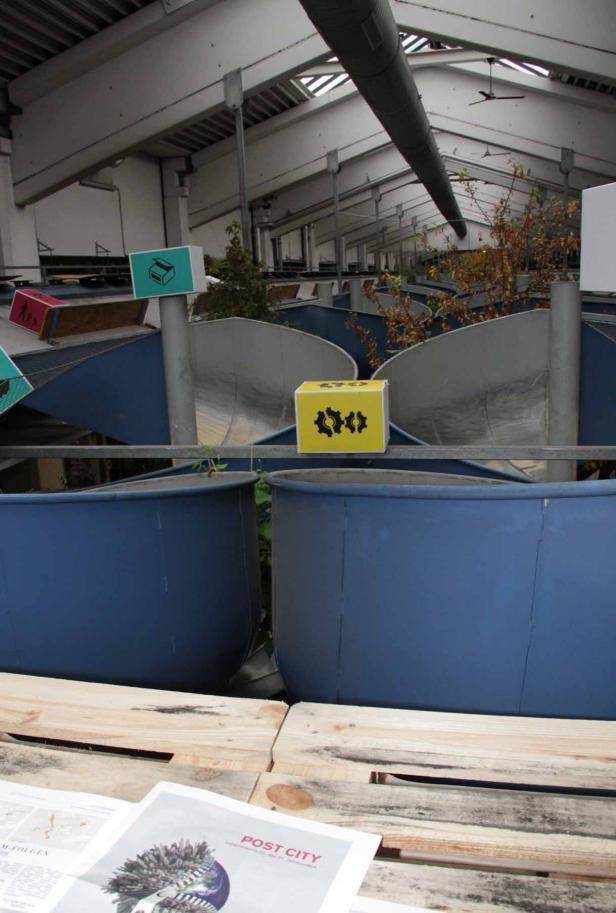 In einer Halle stehen blaue Wasserbecken mit Pflanzen und bunten Symbolen.