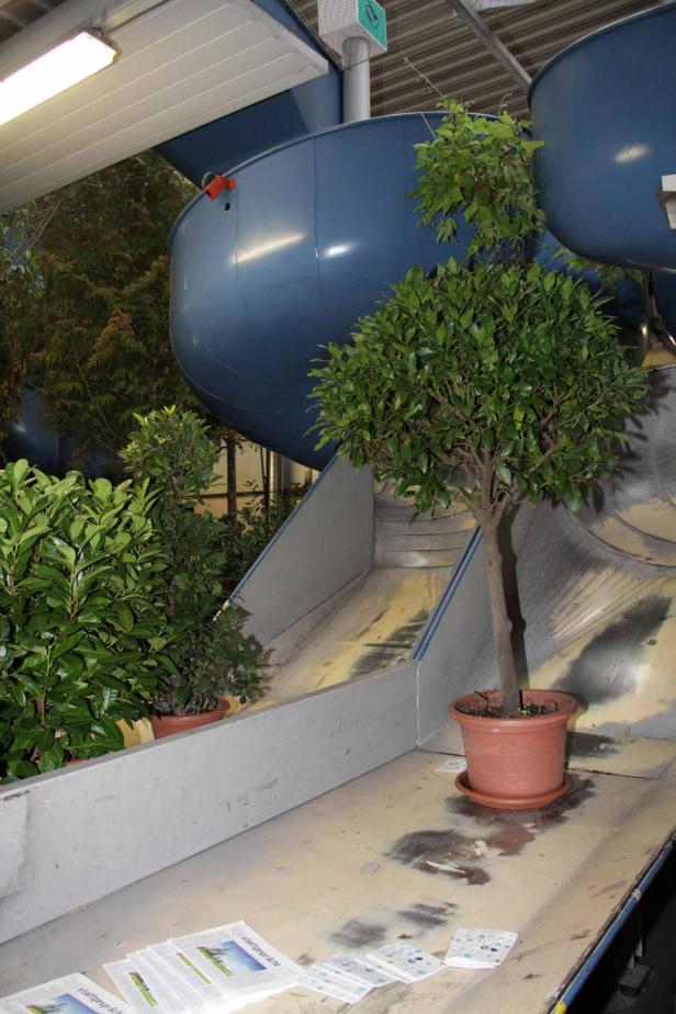 Ein Baum im Topf steht vor einer blauen Rutsche.