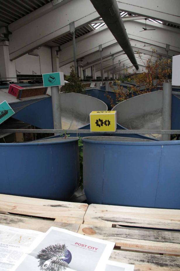 In einer Halle stehen blaue Becken mit bunten Schildern darauf.