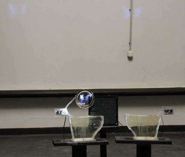 Zwei Wasserbecken mit Projektionen von Schmetterlingen an der Wand.