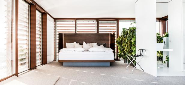 Ein Schlafzimmer mit einem großen Bett, Holzrahmenfenstern und einer Zimmerpflanze.