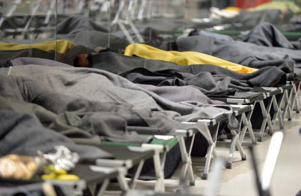 Feldbetten mit grauen Decken stehen in einer Reihe.