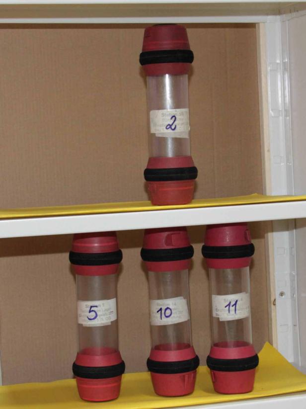 Mehrere Proberöhrchen mit roten Enden stehen in einem Regal.