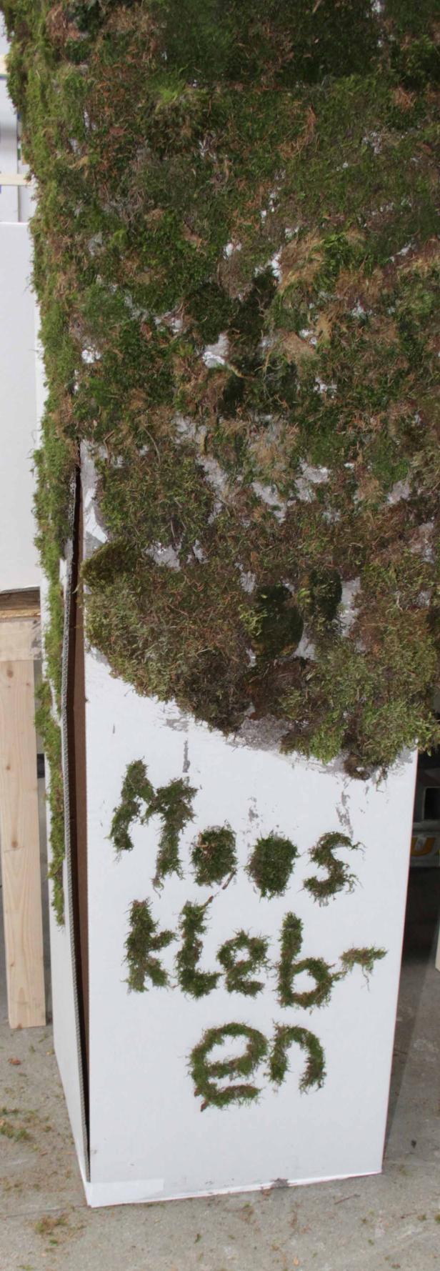 Ein mit Moos bedeckter, weißer Kasten, auf dem mit Moos „Moos kleben“ geschrieben steht.