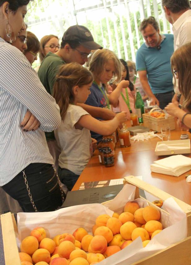 Kinder Business Week 2016