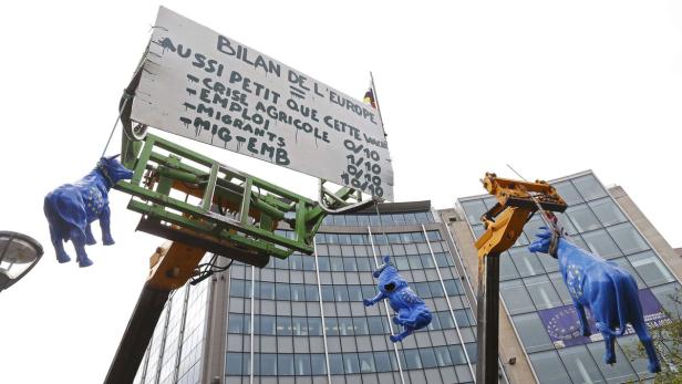 Sculptures of dairy cows hang on tractors cranes a Milchbauern schlagen Alarm: "Es geht um unsere Existenz"