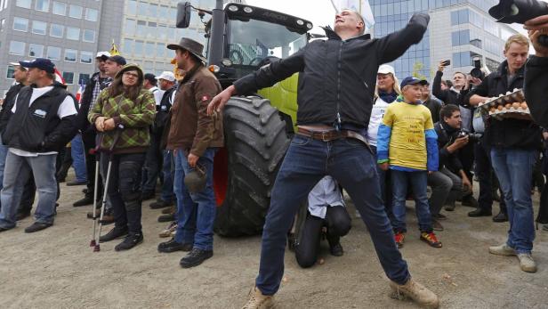 A demonstrator throws eggs as farmers and dairy fa Milchbauern schlagen Alarm: "Es geht um unsere Existenz"