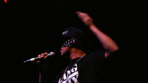 Die Vamummtn und ihr "Festl gestan"