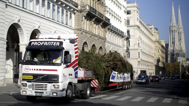 Ein LKW transportiert einen großen Baum durch eine Stadt, möglicherweise Wien.