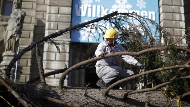 Ein Arbeiter mit Schutzhelm sitzt auf einem gefällten Baum vor einem Gebäude.