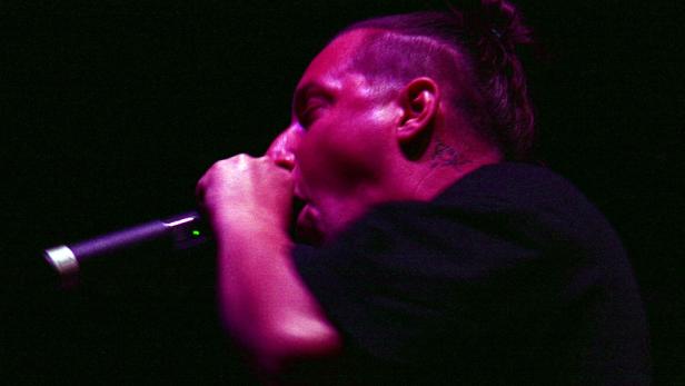 Die Vamummtn und ihr "Festl gestan"