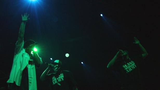 Die Vamummtn und ihr "Festl gestan"