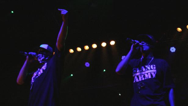 Die Vamummtn und ihr "Festl gestan"