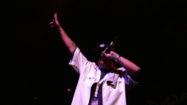 Die Vamummtn und ihr "Festl gestan"