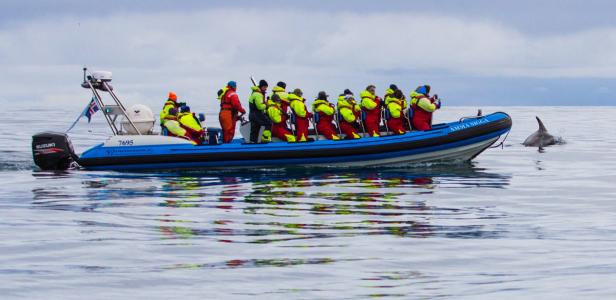 Island: Walfahrt zu 13 Weihnachtsmännern