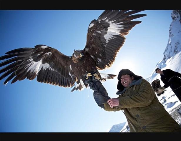Ein Mann hält einen Steinadler mit ausgebreiteten Flügeln in der Hand.