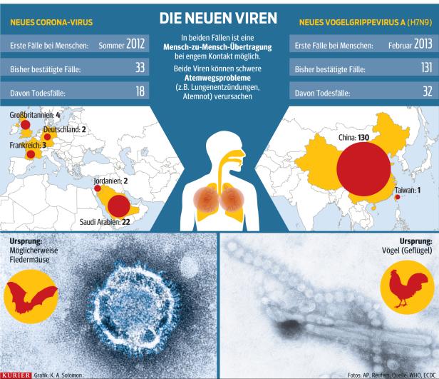 Corona-Virus: Derzeit keine Gefahr für Europa