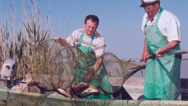 Zehn Top-Fischlokale in Wien und Umgebung