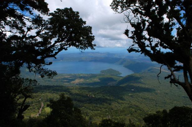 Blick auf einen See mit einer kleinen Insel, umgeben von grünen Hügeln, durch Baumäste hindurch.