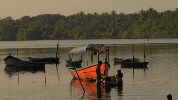 Mehrere kleine Boote liegen ruhig auf dem Wasser vor einem grünen Ufer.