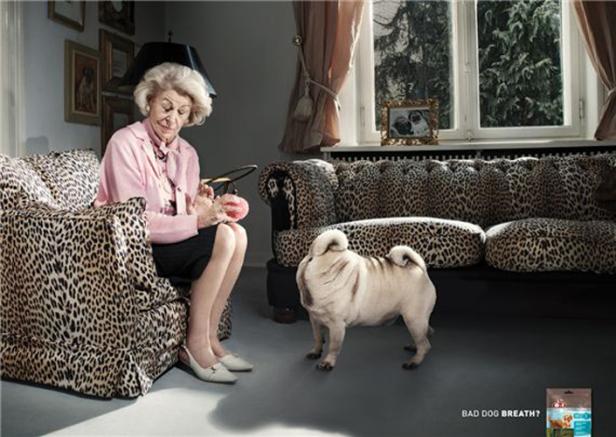 Eine ältere Dame sitzt in einem Leopardenmuster-Sessel, während ein Mops sie ansieht.