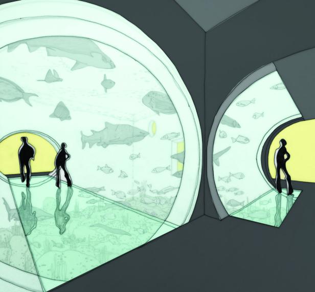 "Atlantik Tunnel": Neues Spektakel im Haus des Meeres