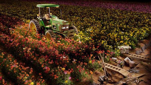 Mit Licht "gemaltes" Amerika-Tribut