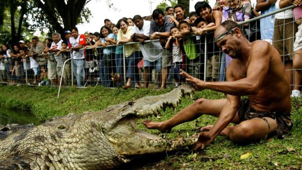 Costa Rica trauert um ein Krokodil