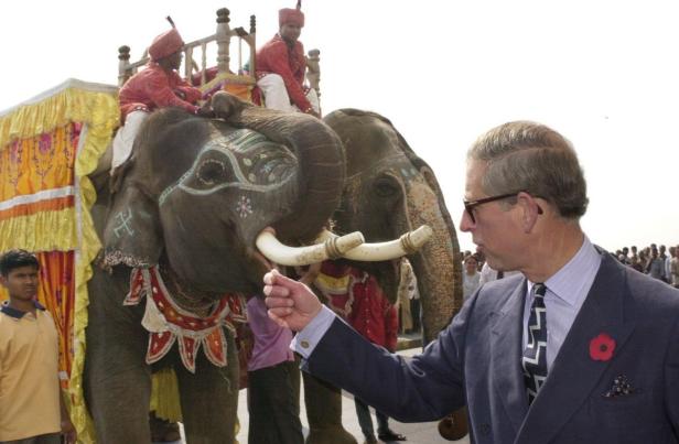 Prinz Charles interagiert mit geschmückten Elefanten in Indien.