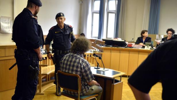 Dreifachmord in Wien: Mann in Anstalt eingewiesen