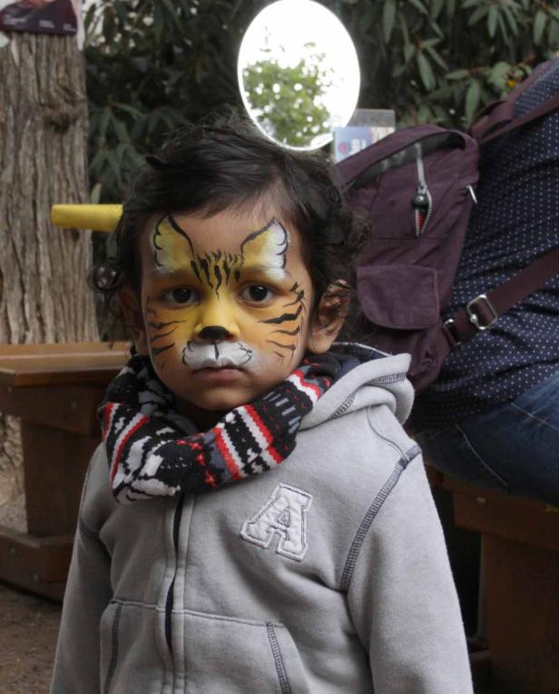 Ein Kind mit Tigerschminke im Gesicht trägt eine graue Jacke.