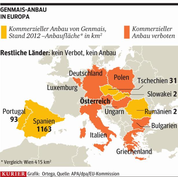 EU sät Genmais und Zwietracht