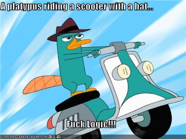 Ein Schnabeltier mit Hut fährt auf einem türkisfarbenen Roller.