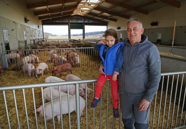 Schwein gehabt: Wie sich Bauern über die Corona-Zeit retten