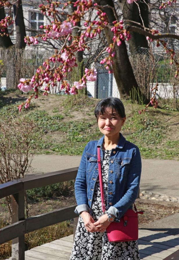 Japanische Kirschblüten: Zuckerwatte in der Stadt