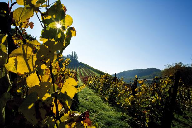 Sulmtal Sausal  – ein Paradies für Genießer und Naturliebhaber