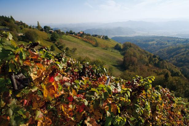 Sulmtal Sausal  – ein Paradies für Genießer und Naturliebhaber