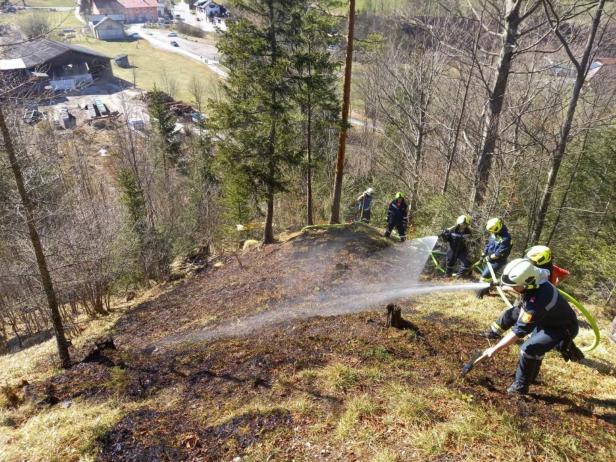 Erster Waldbrand beschäftigte Feuerwehren im Bezirk Lilienfeld