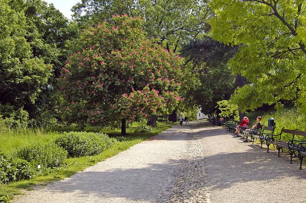 Florale Eindrücke: Gartenreise zu den schönsten Gärten Österreichs