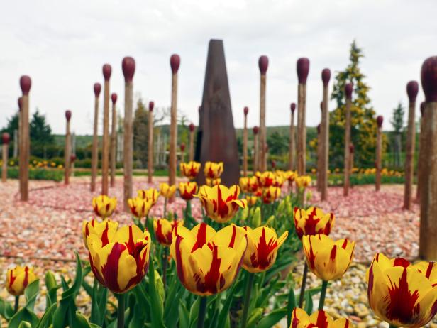 Florale Eindrücke: Gartenreise zu den schönsten Gärten Österreichs