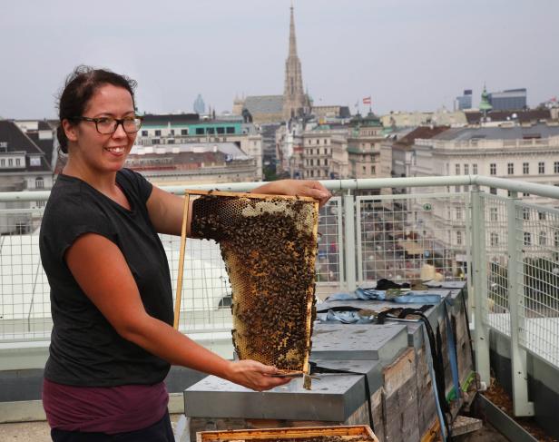 Voll der Schwarm: Der Imker und die Bienen von Schönbrunn