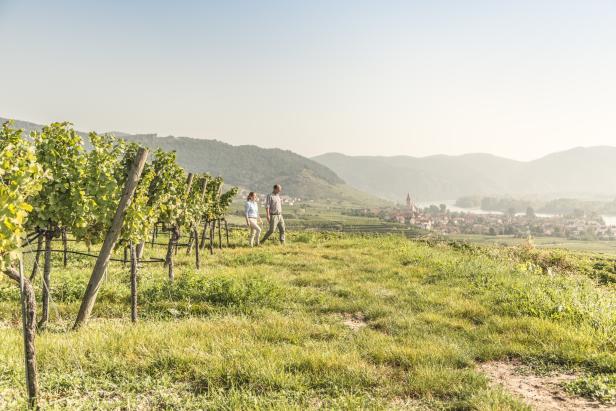 Die bedeutendsten Denkmäler in Österreich