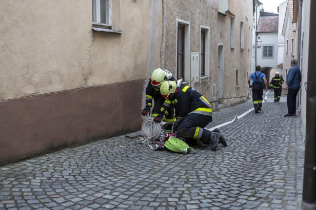 Krems: Katze aus brennender Wohnung gerettet