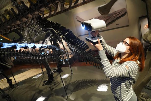 T-Rex ist jetzt online in 3D zu bewundern