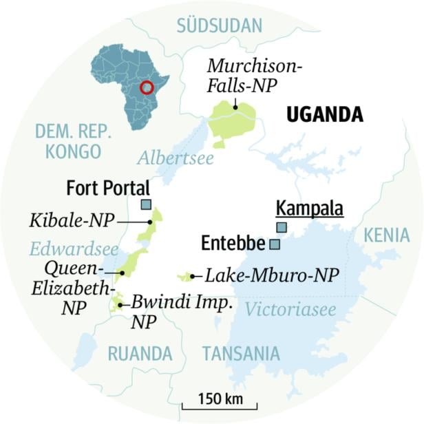 Uganda hat vieles, weshalb man nach Afrika reist - und Gorillas