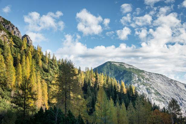 In Wanderschuhen zu Naturjuwelen: So schön ist Urlaub in den Tiroler Alpen